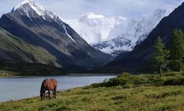 Journey to Mount Belukha, the Highest Point in Kazakhstan